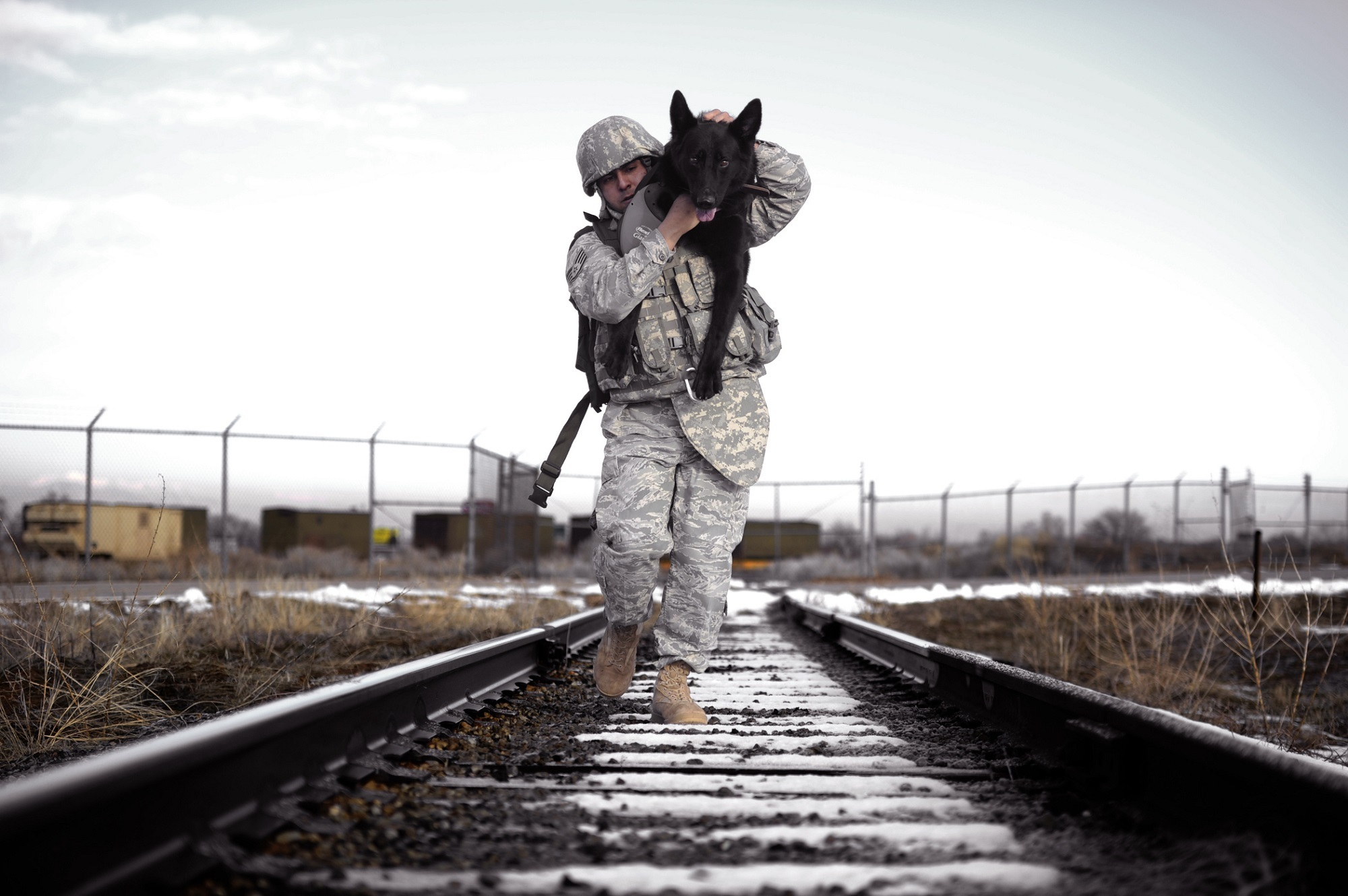 Canva - Soldier Carrying His Dog